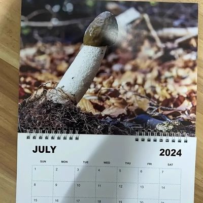 Custom Wall Calendar Stand Out With Personalization And Durable Spiral Binding